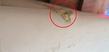 修復のあとがある製品。